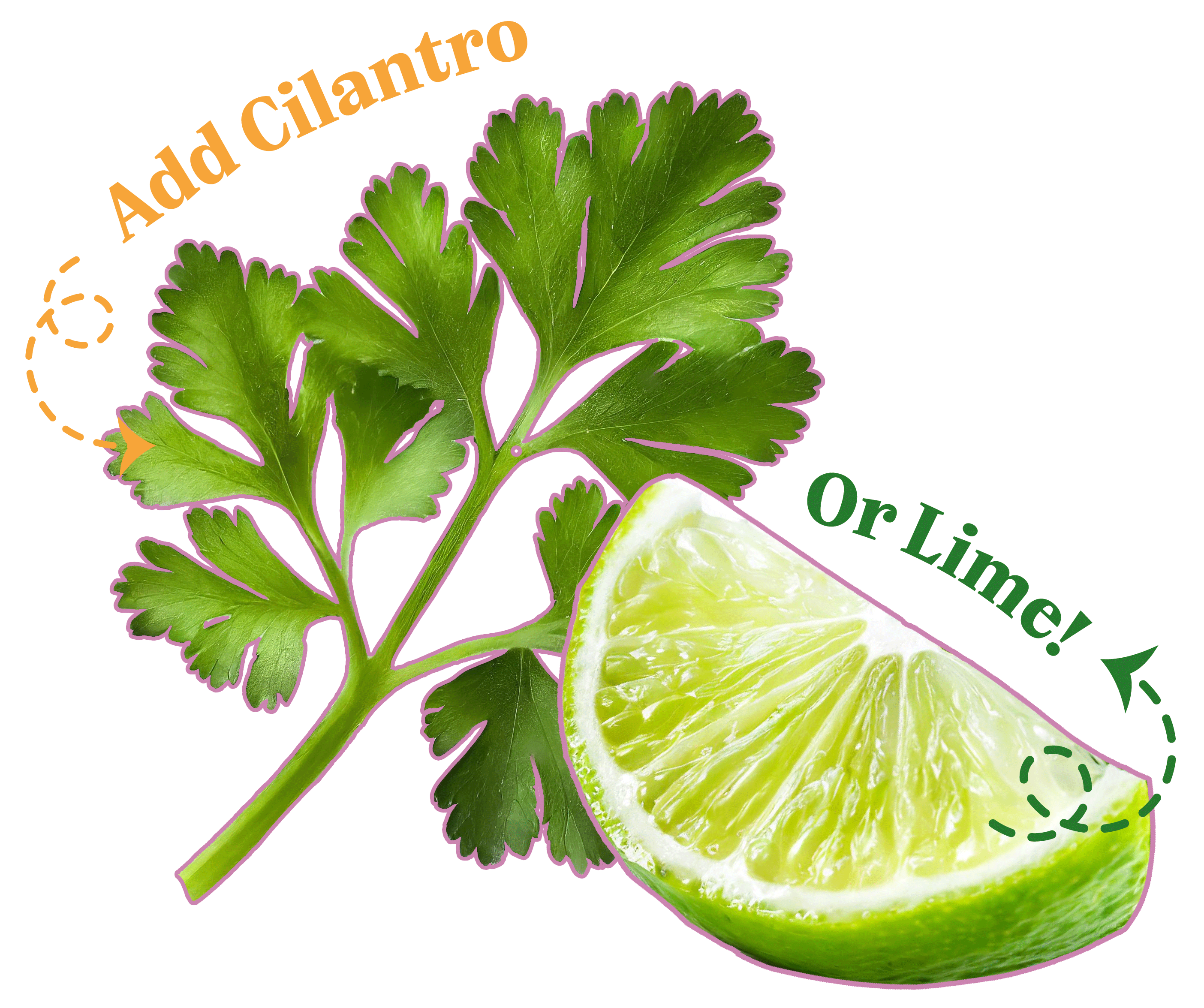 Cilantro and lime